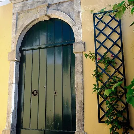 Traditional On The Hillside Of Antiperni * Antipernoi